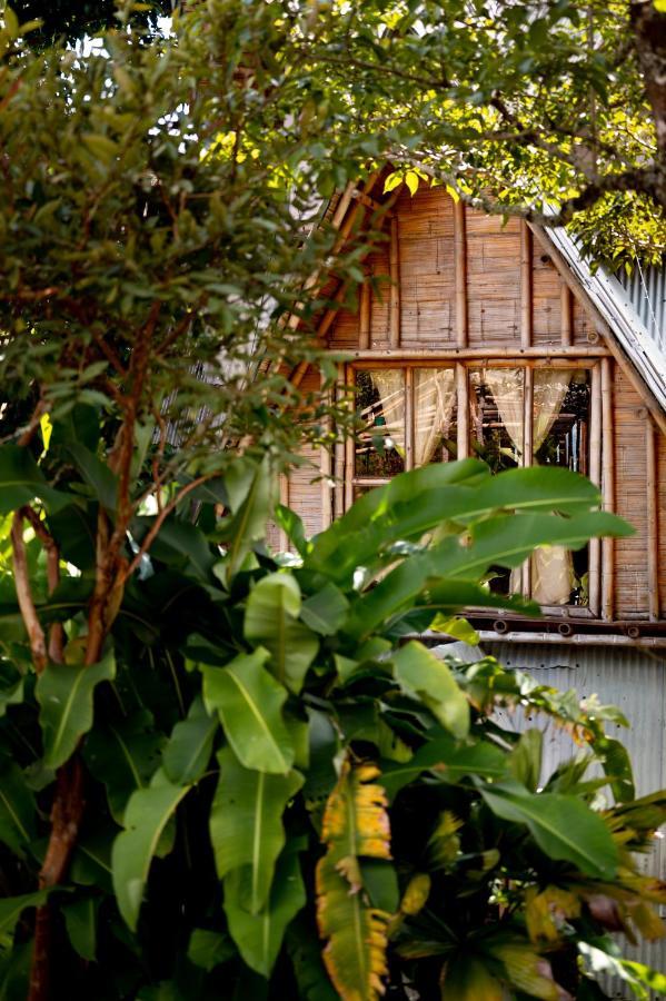 Chalet Ecoturismo La Nohelia Херико Экстерьер фото